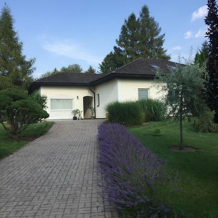 Studiovy Apartman V Zahrade Police nad Metují Kültér fotó