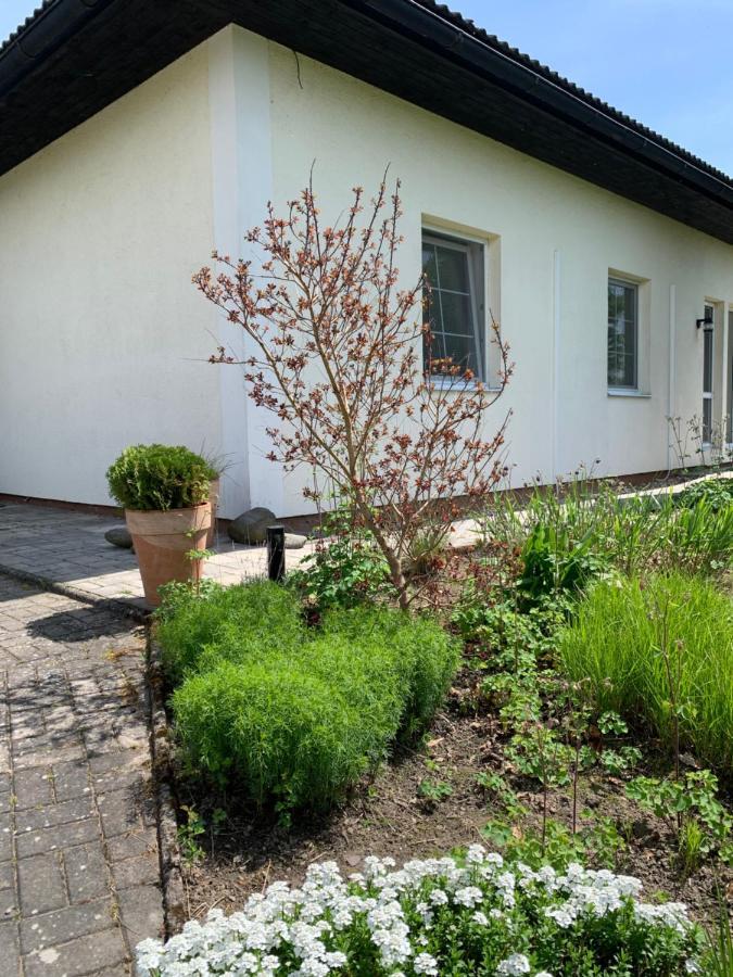 Studiovy Apartman V Zahrade Police nad Metují Kültér fotó